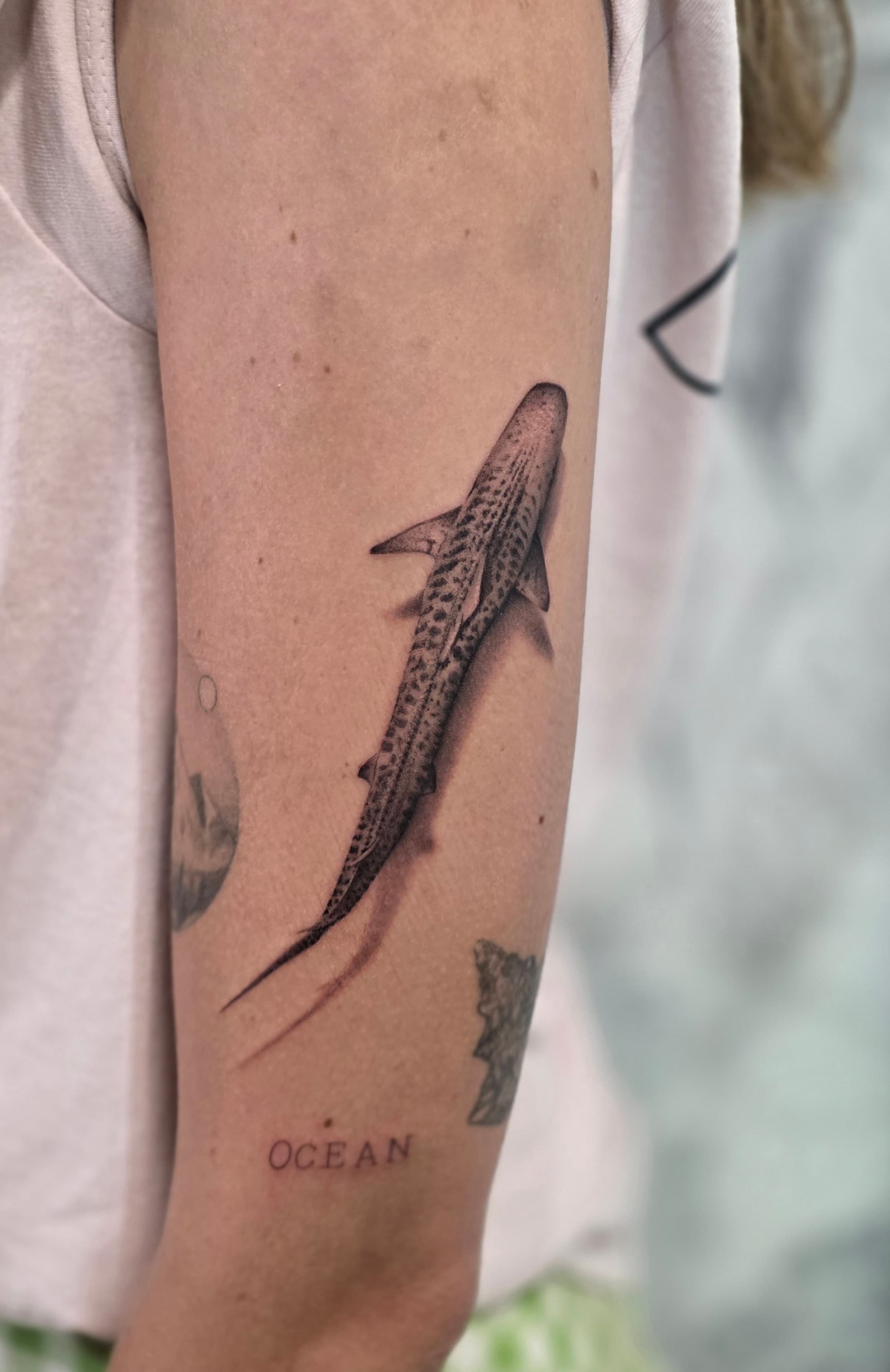 Tatouage réalisé par Jordan — Micro-réalisme